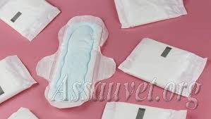 L’impact de la santé menstruelle sur le développement