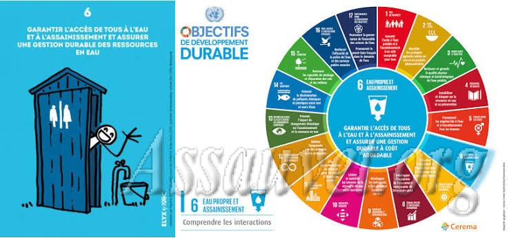 Gestion des toilettes mobiles en Afrique : une solution innovante pour un assainissement durable